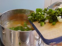 Add other vegetables (onions, celery and parsnip green, green onions) and let everything simmer for another 10 minutes.