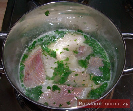 Melt butter over low heat. Add white wine, pickle brine, parsley and bay leaf. Bring to boil. Put salmon pieces into the pot, cover and simmer over low heat.