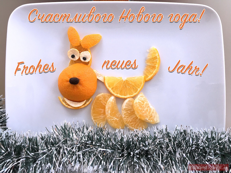Hund aus Mandarinen mit dem Text Счастливого Нового года und Frohes neues Jahr