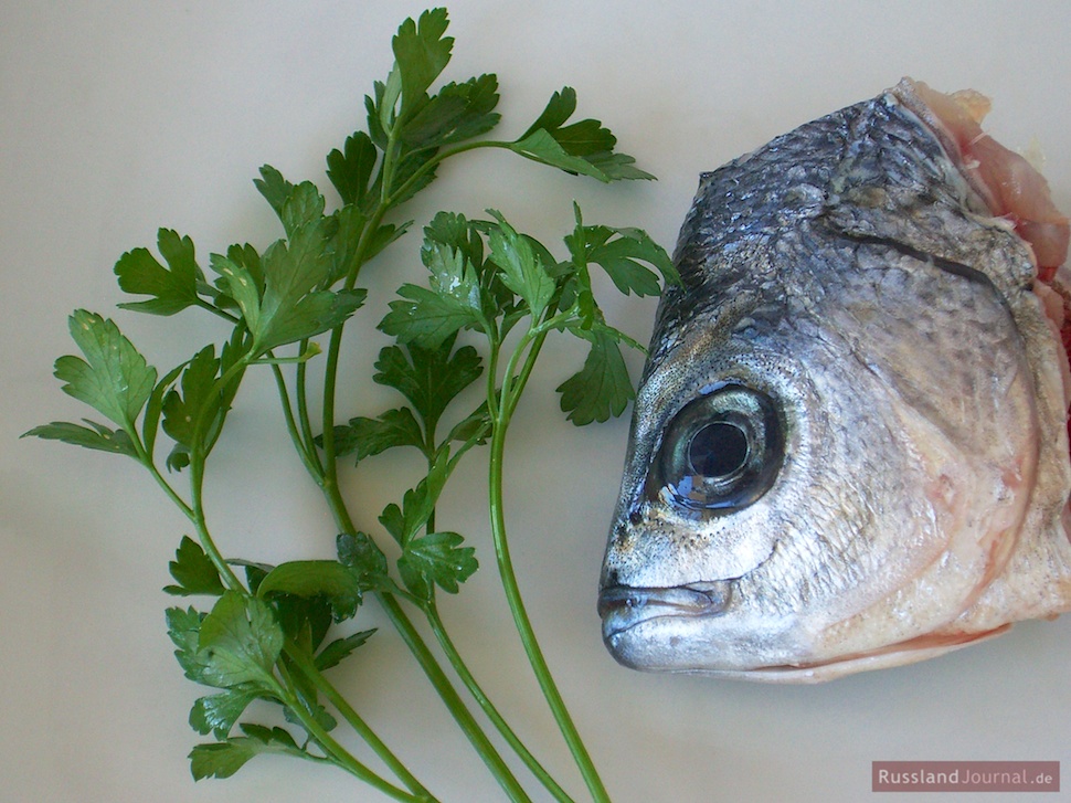 Fischkopf mit Petersilie