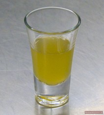 Meerrettich Schnaps auf Wodka-Basis