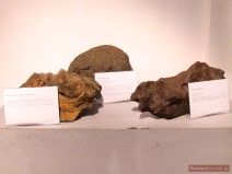 Meteoriten