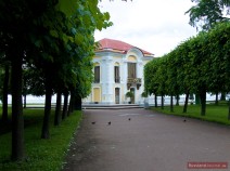 Allee zur Eremitage in Peterhof