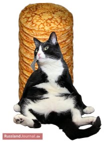 Katze sitzt vor einem Stapel Pfannkuchen Blini
