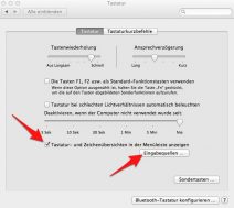 Zum einfacheren Umschalten lässt sich die Tastatur Übersicht in der Menüleiste einblenden. Hier auf Eingabequellen klicken.