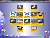 Memory-Spiel bei Strokes Easy Learning Russisch