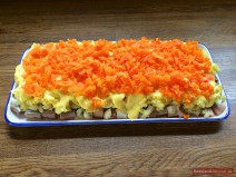 Hering im Pelzmantel Karotten-Schicht