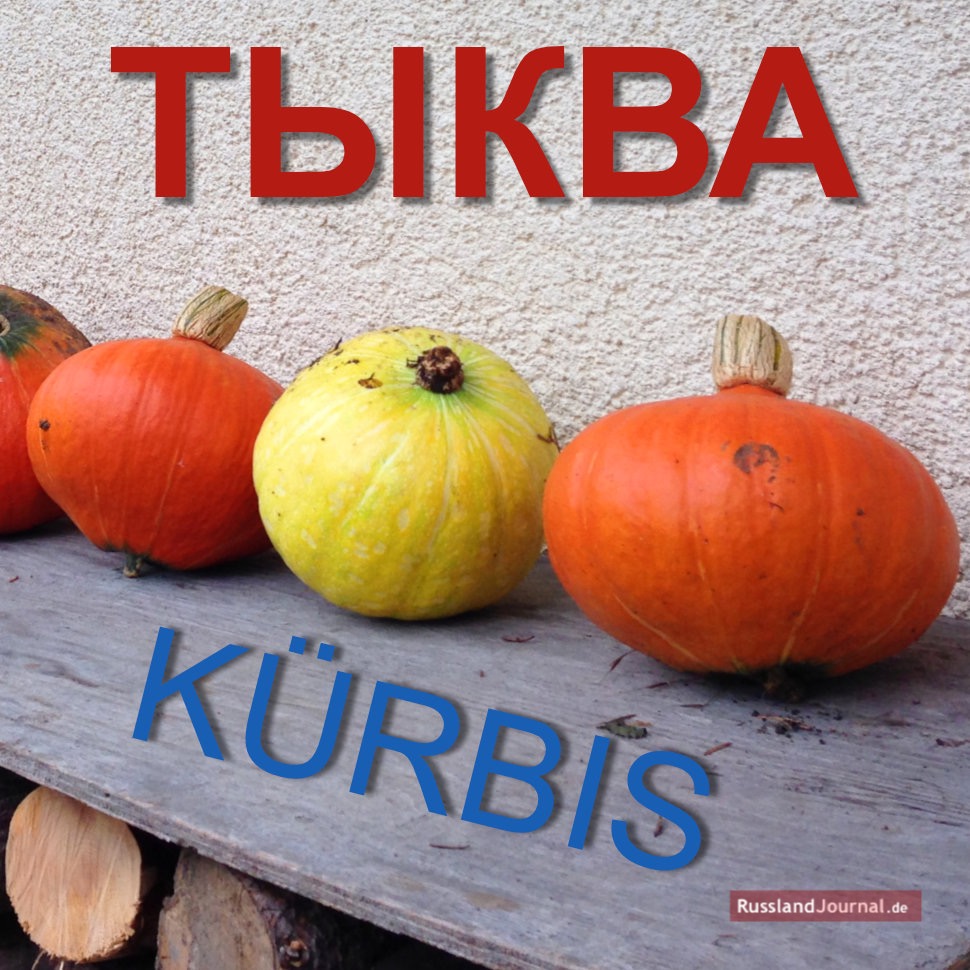 Kürbis auf Russisch
