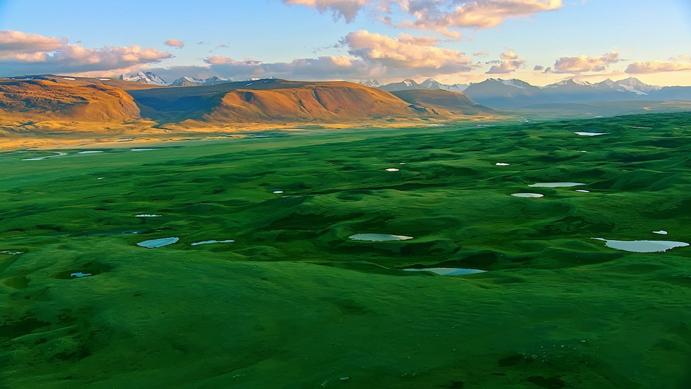 grünes Altai Gebirge