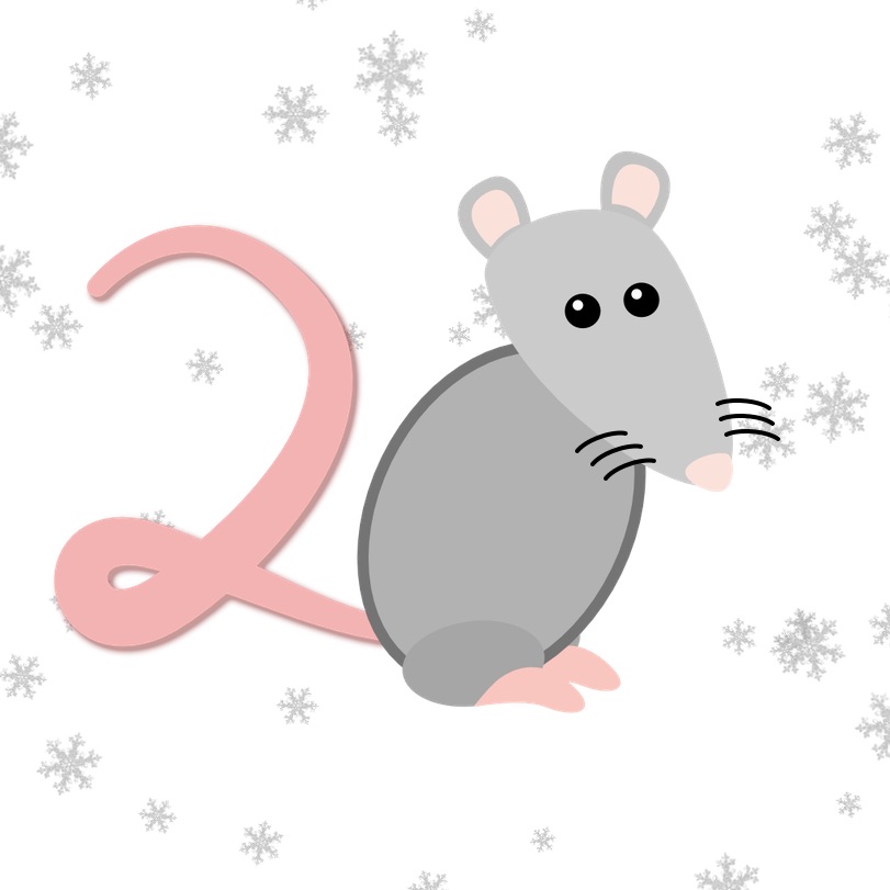 Ratte als Zahl 20