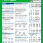 PONS Grammatik auf einen Blick Russisch