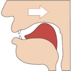 Artikulation russisches Ы