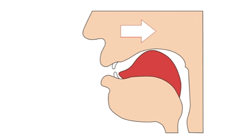 Animation der Zungenbewegung für das russische Ы