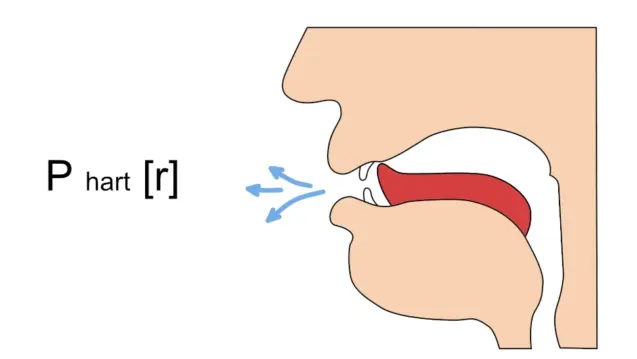Zungenstellung beim harten russischen Р: Kontakt der Zungenspitze am Zahndamm.